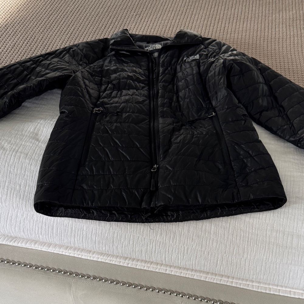 The North Face Black Puffer Jacket